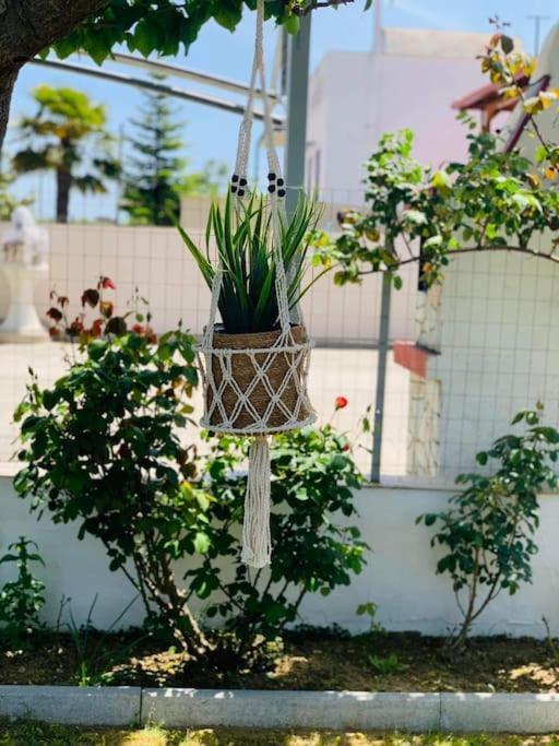 Mom'S Seaside Home Karianí 외부 사진